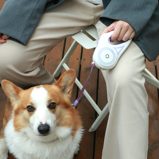 Light up your Retractable Dog Leash and Collar! For Small Medium Dogs Pet Product